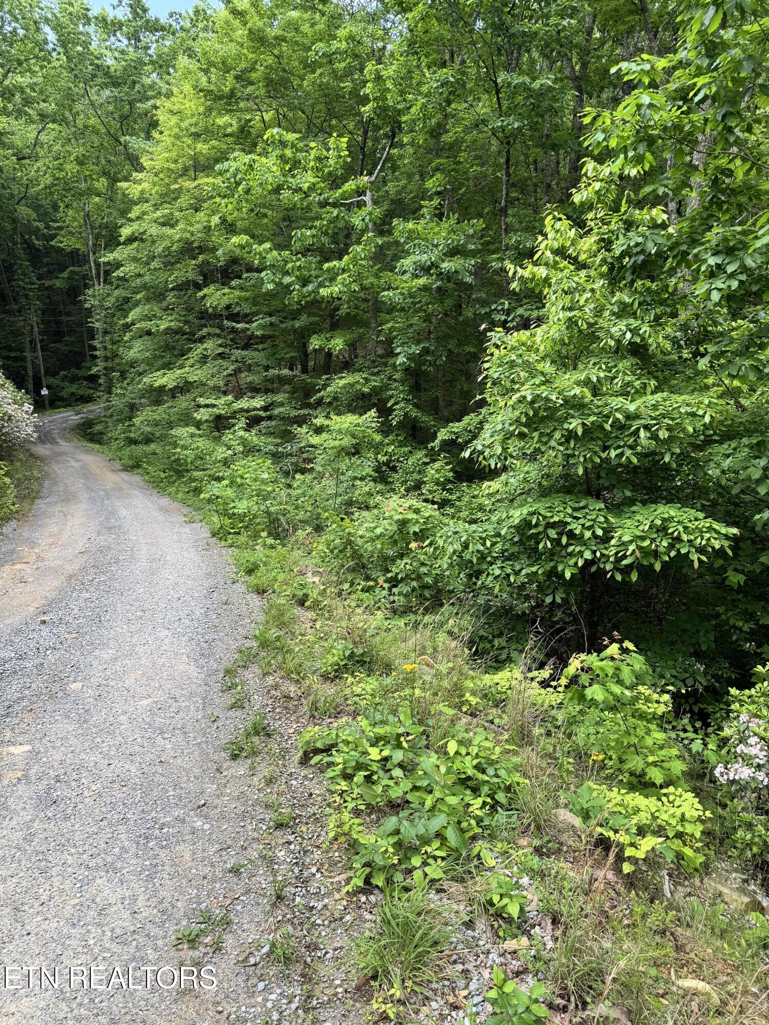 Goose Creek Road, Unit 1 Seymour, TN 37865 - Photo 2 of 2 IMG_4942