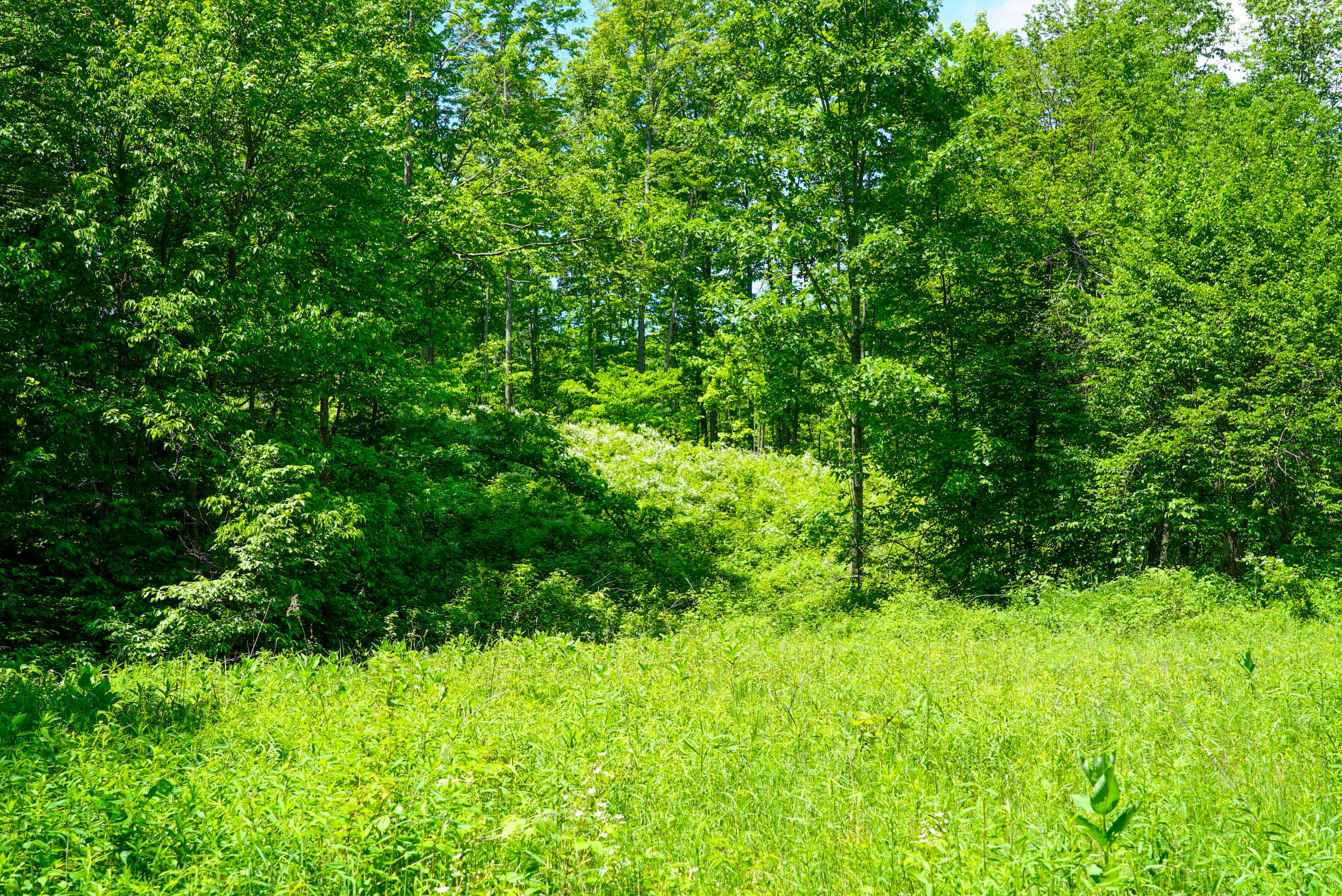1244 Mayhew Road Rose City, MI 48654 - Photo 10 of 18 10