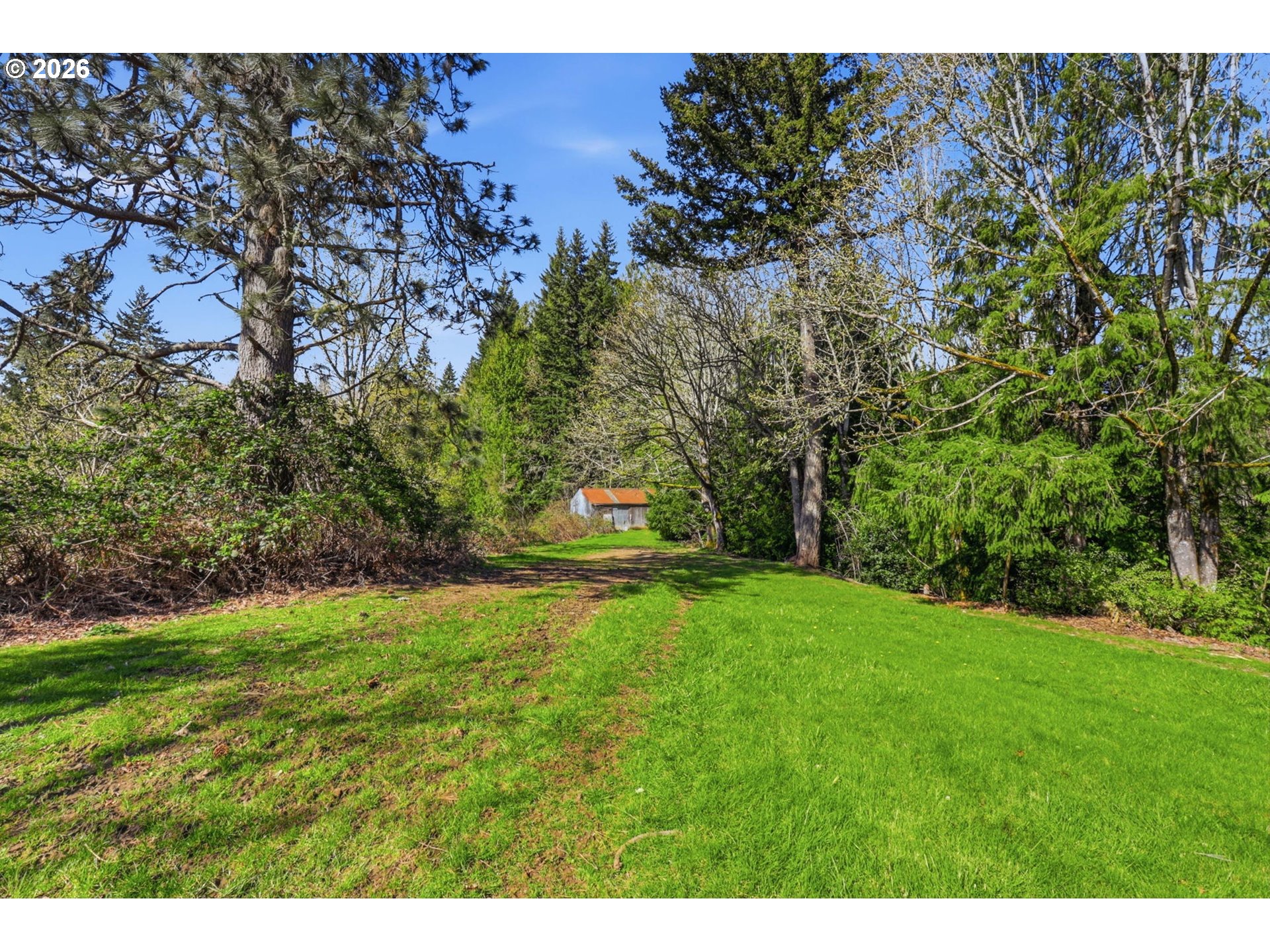 South Ringo Road Mulino, OR 97042 - Photo 42 of 47 Backyard