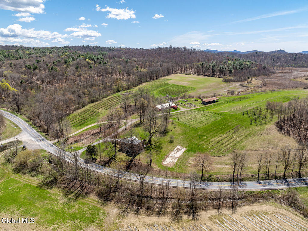 1483 County Rte 49 Argyle, NY 12809 - Photo 5 of 31 aerial 5