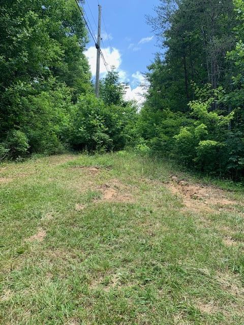 0 Walden View Road Signal Mountain, TN 37377 - Photo 1 of 7 Gallery Image 1