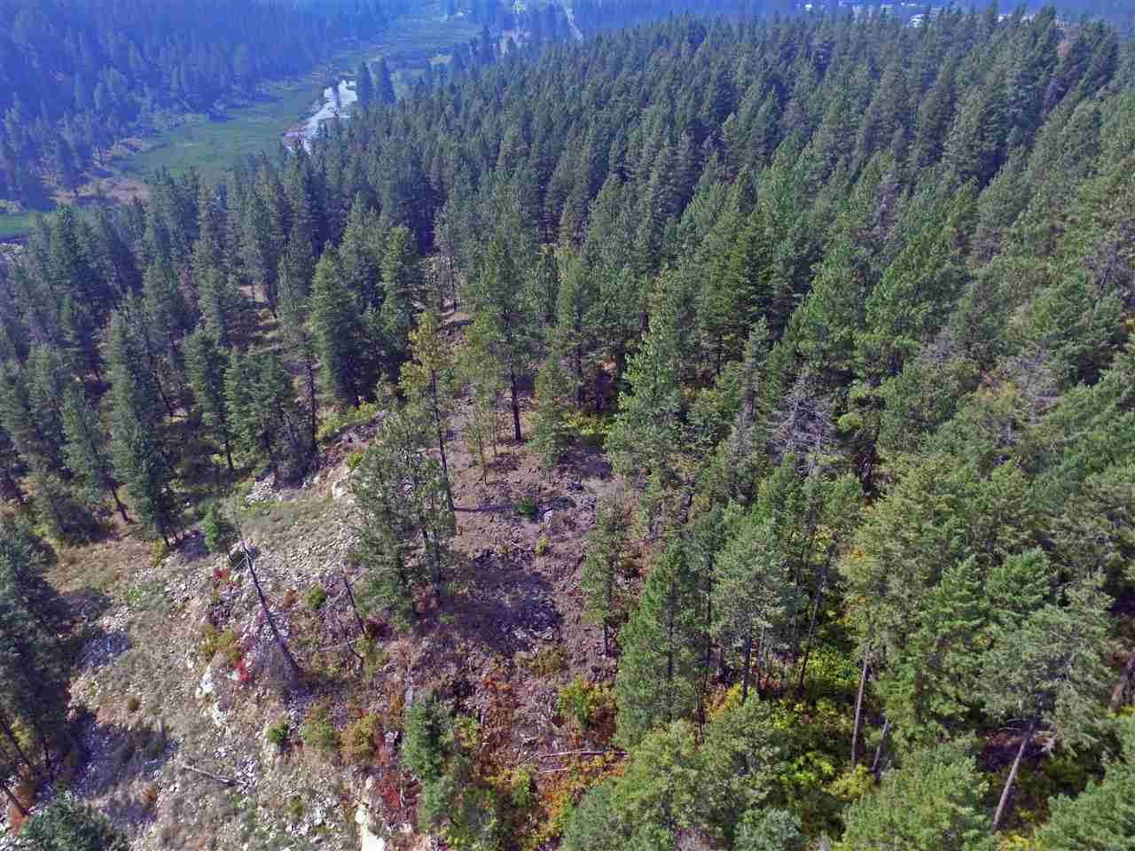 Xxx North Willms Road Elk, WA 99009 - Photo 2 of 11