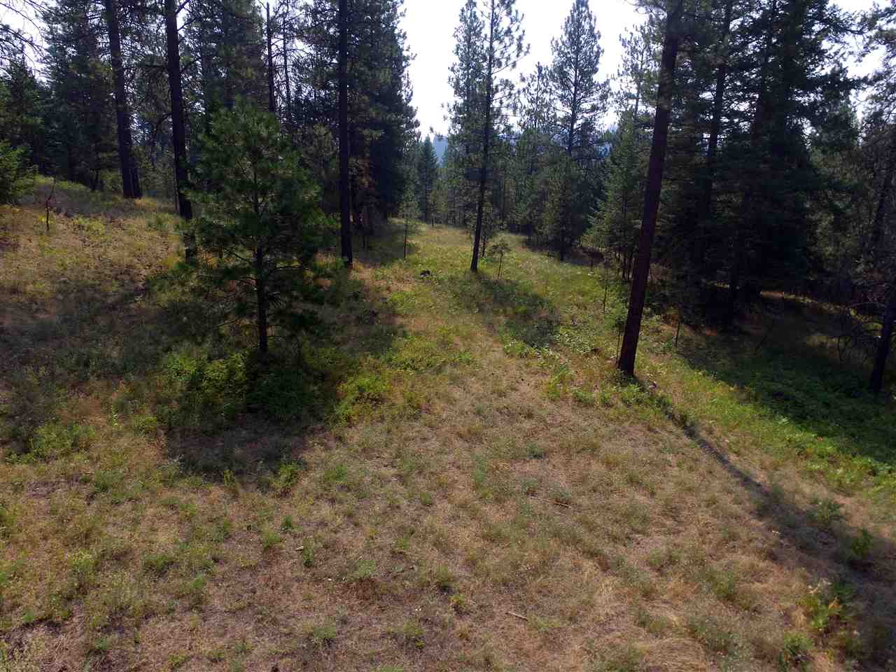 Xxx North Willms Road Elk, WA 99009 - Photo 6 of 11