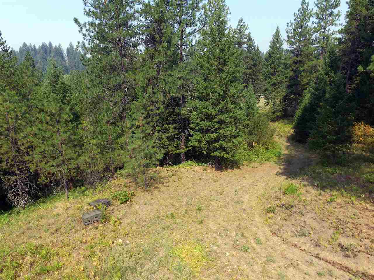 Xxx North Willms Road Elk, WA 99009 - Photo 7 of 11