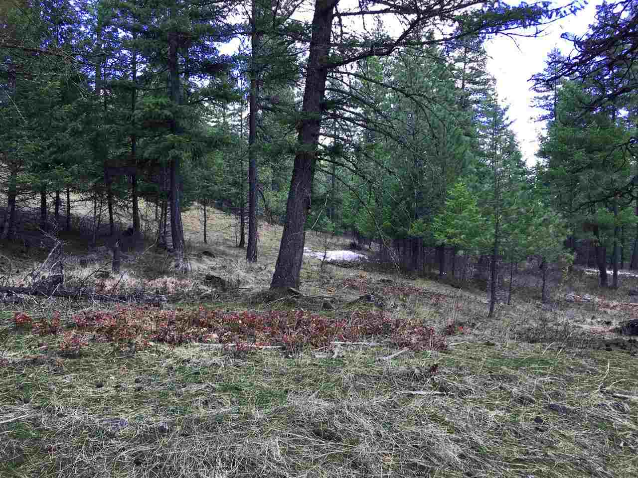 Xxx North Willms Road Elk, WA 99009 - Photo 9 of 11