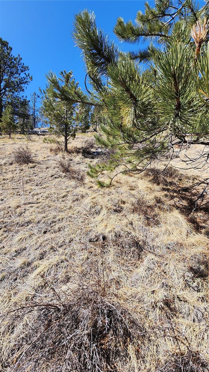 267 Ward Street Bailey, CO 80421 - Photo 12 of 13