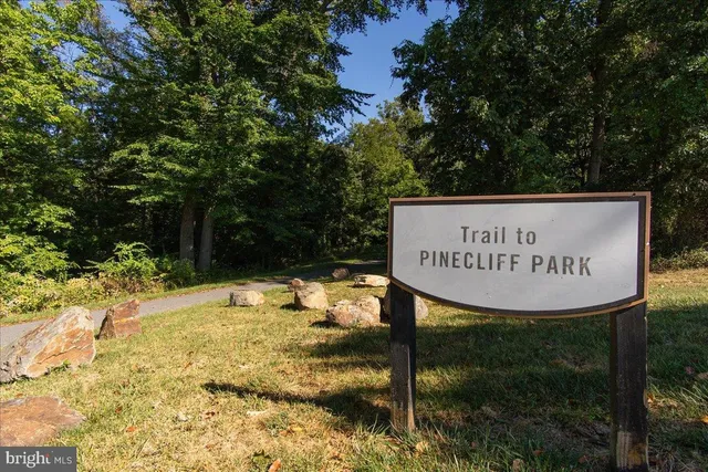 a view of a city with lush green forest