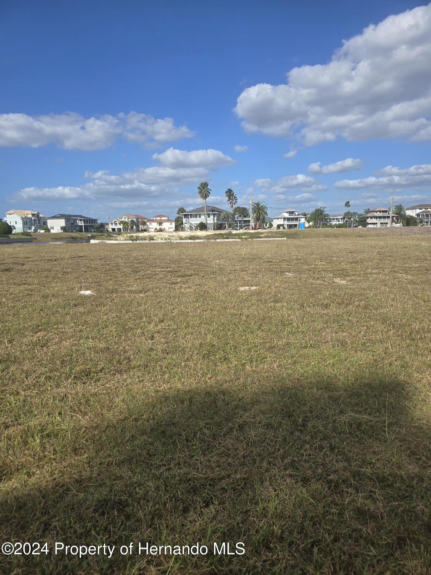 3415 Sheephead Drive Hernando Beach, FL 34607 - Photo 3 of 6 a view of an ocean
