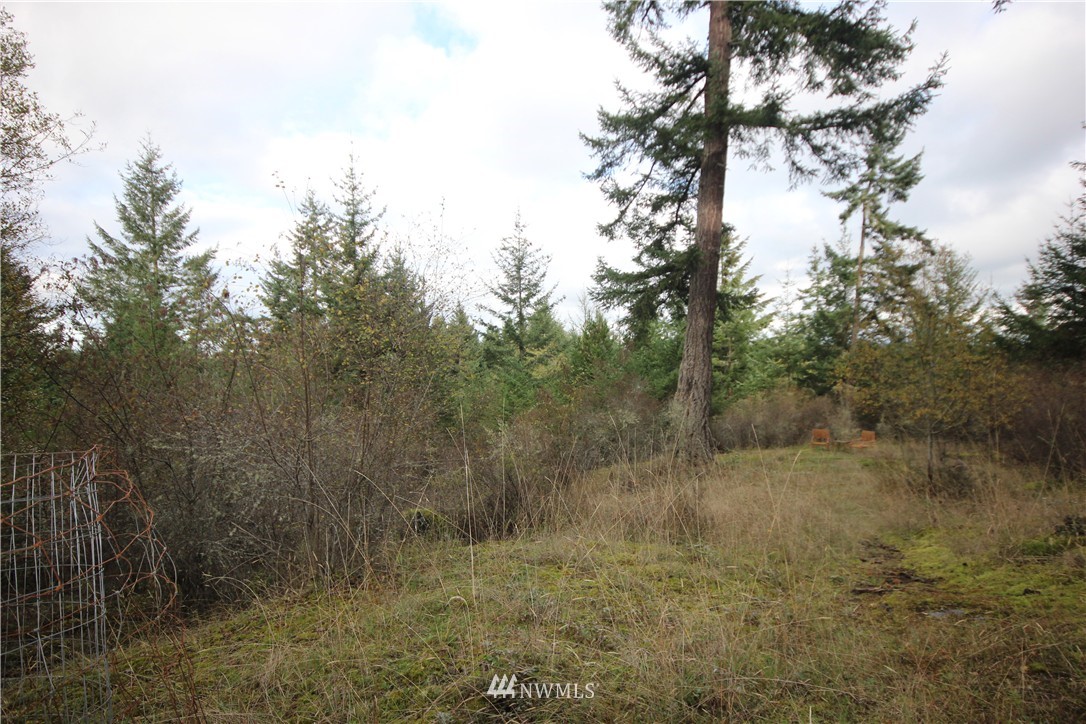 232 Reef Net Road San Juan Island, WA 98250 - Photo 11 of 13