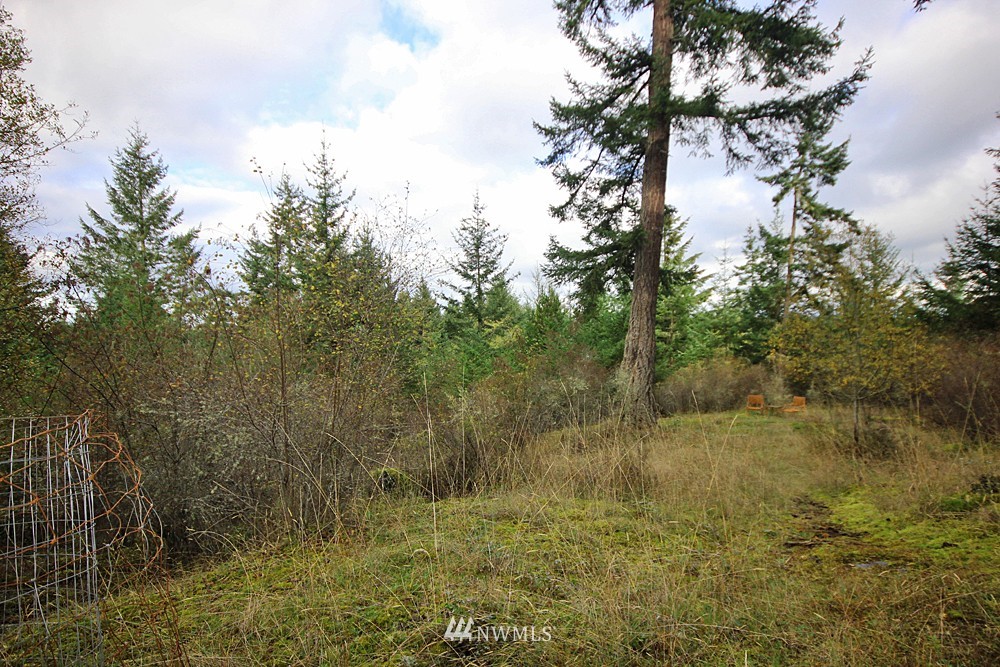 232 Reef Net Road San Juan Island, WA 98250 - Photo 12 of 13