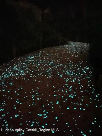 a white building that has a tree in front of it