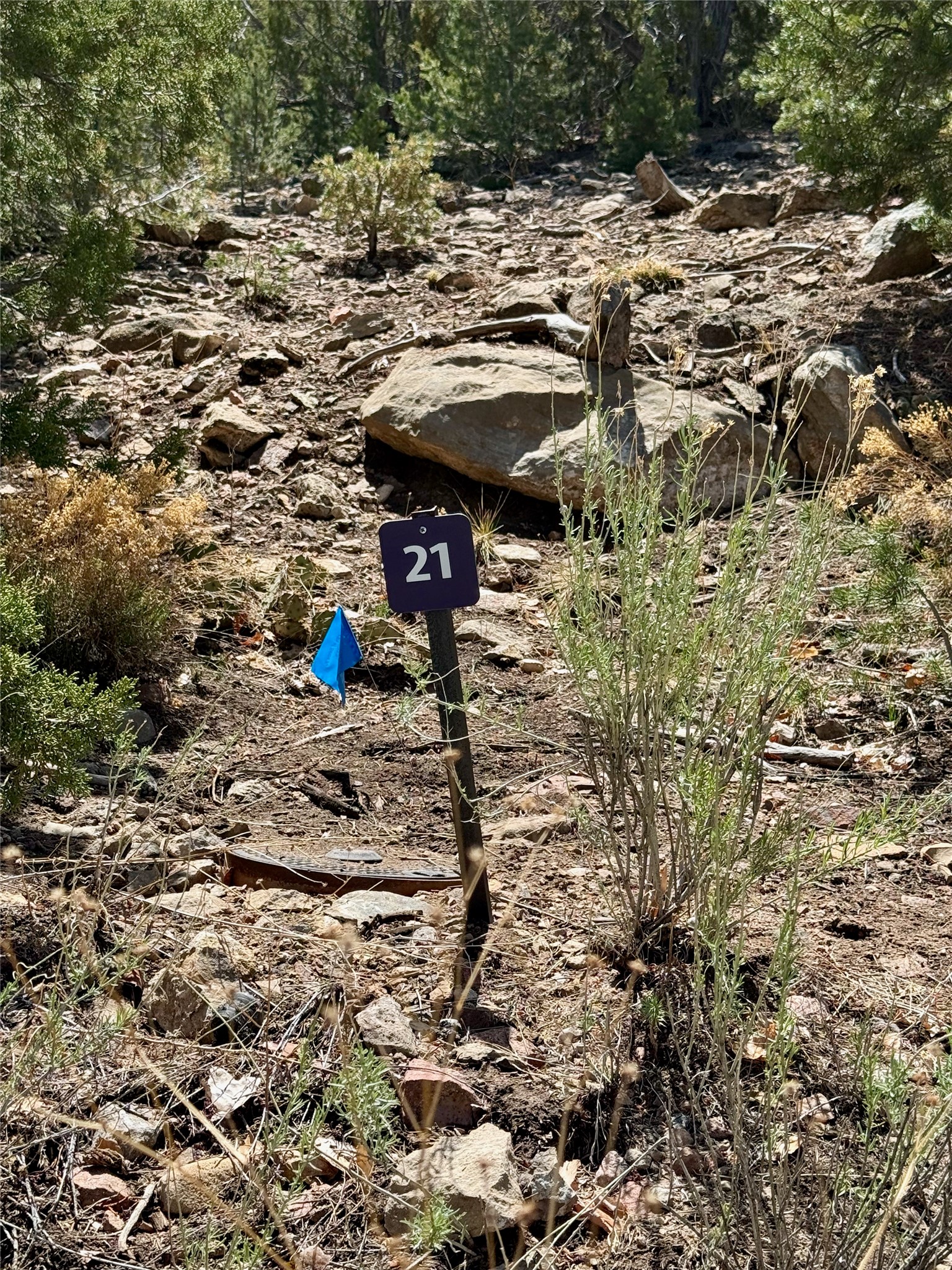 1083 South Summit Ridge, Unit LOT 3 Santa Fe, NM 87501 - Photo 20 of 70
