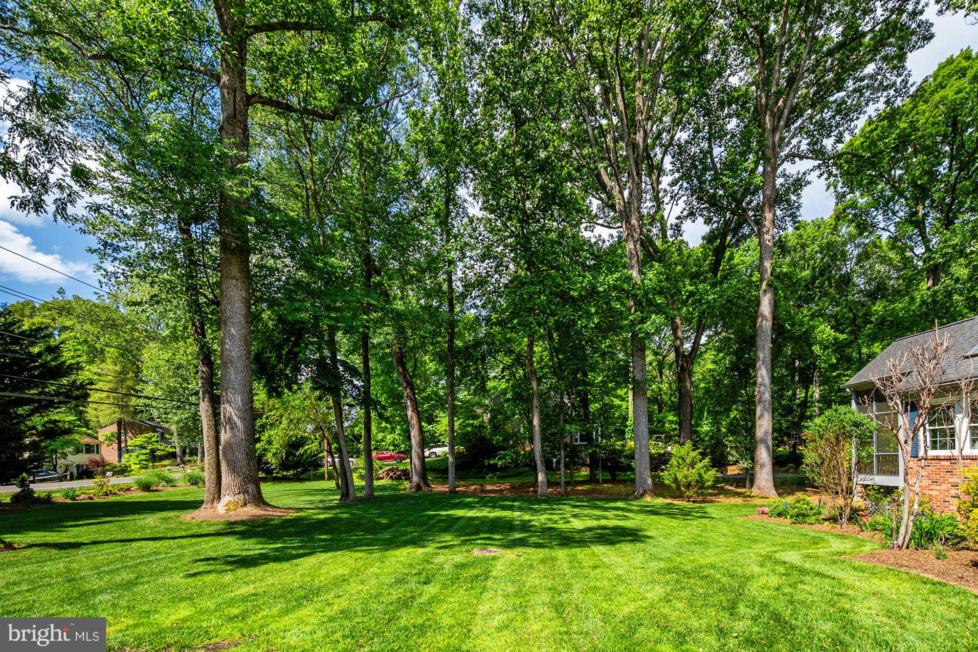 11416 Vale Road Oakton, VA 22124 - Photo 111 of 116 Gallery Image 111