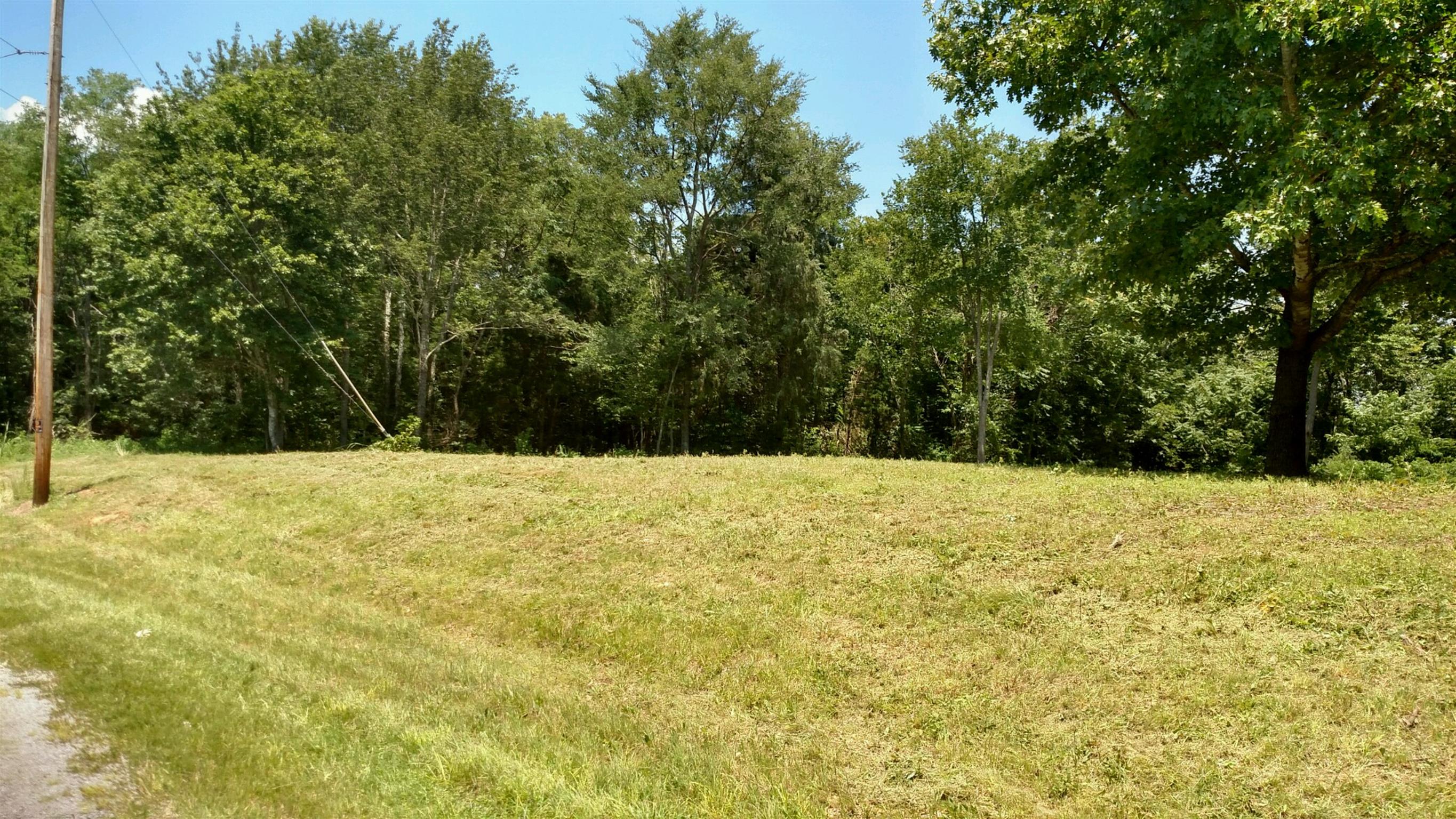 0 Chestnut Grove Road Leoma, TN 38468 - Photo 1 of 8 a view of large yard