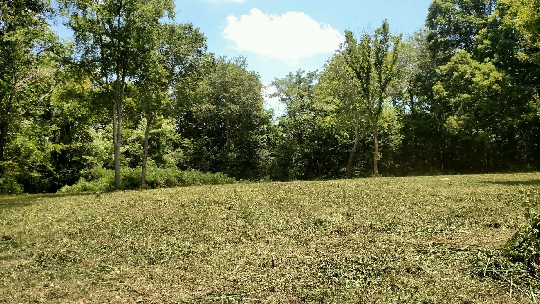 0 Chestnut Grove Road Leoma, TN 38468 - Photo 8 of 8 a view of outdoor space with trees all around
