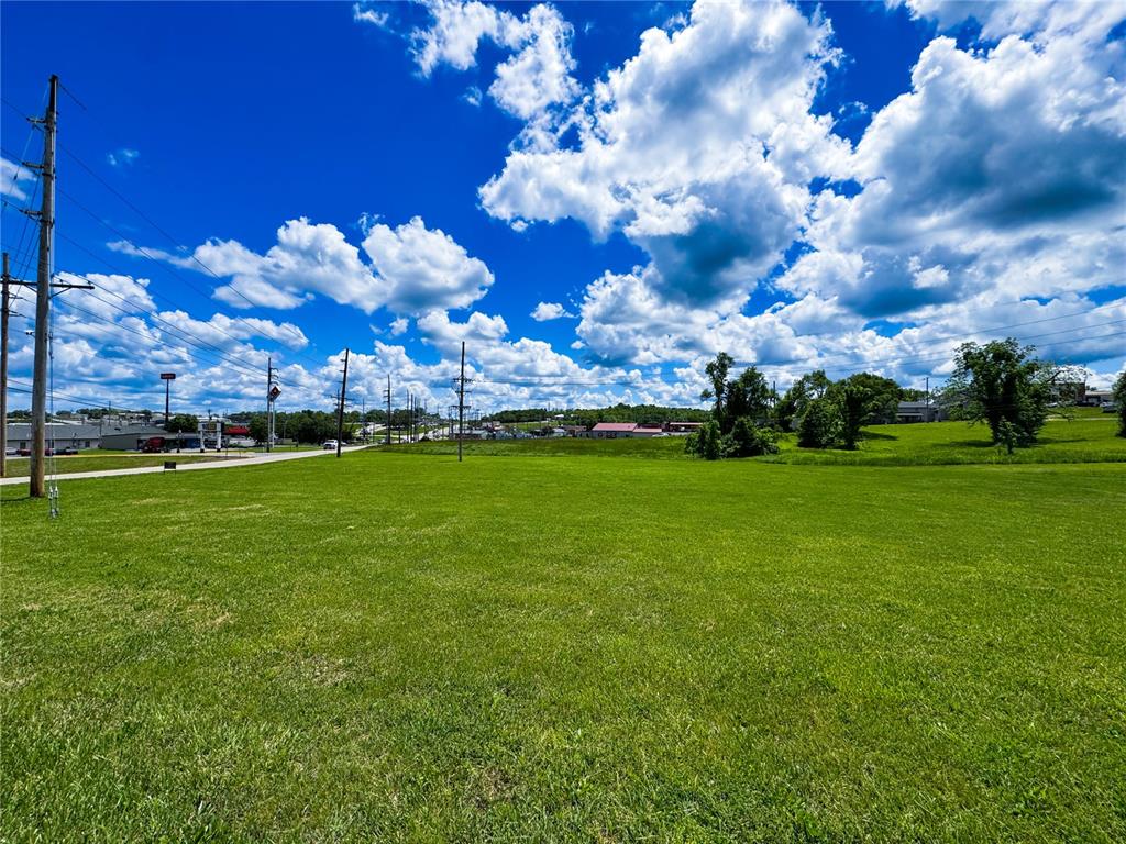 39 Berry Road Bonne Terre, MO 63628 - Photo 1 of 10