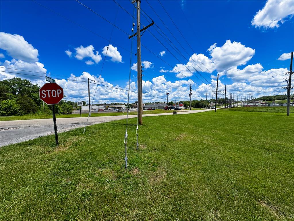 39 Berry Road Bonne Terre, MO 63628 - Photo 4 of 10