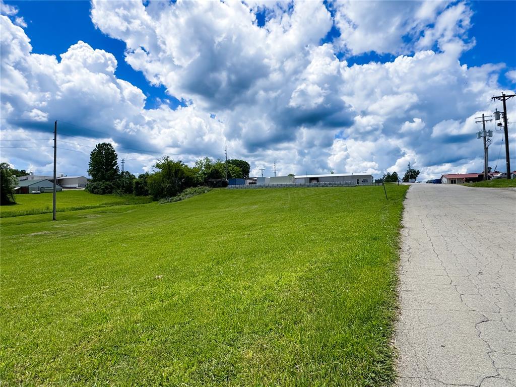 39 Berry Road Bonne Terre, MO 63628 - Photo 5 of 10