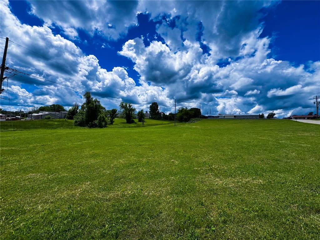 39 Berry Road Bonne Terre, MO 63628 - Photo 6 of 10