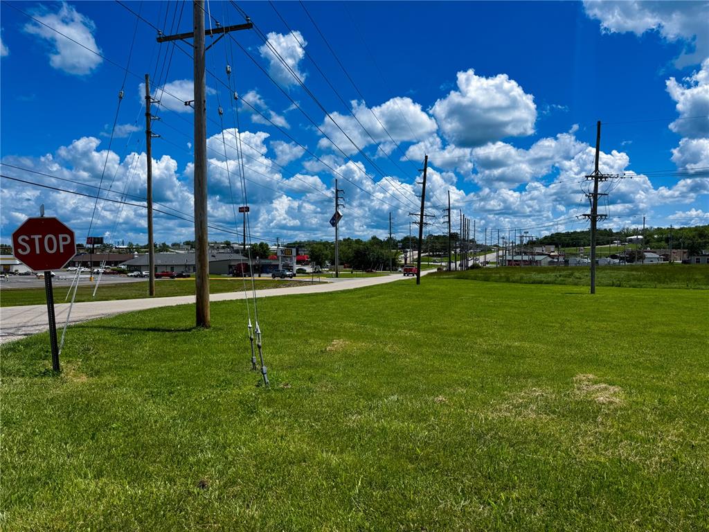 39 Berry Road Bonne Terre, MO 63628 - Photo 7 of 10