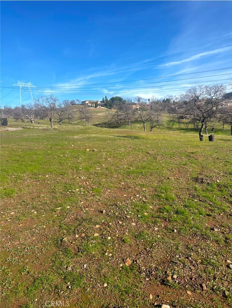3460 Shadowtree Lane Chico, CA 95928 - Photo 3 of 11 Wonderful open space! No neighbors!!