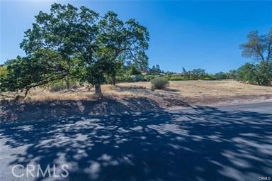 3460 Shadowtree Lane Chico, CA 95928 - Photo 7 of 11