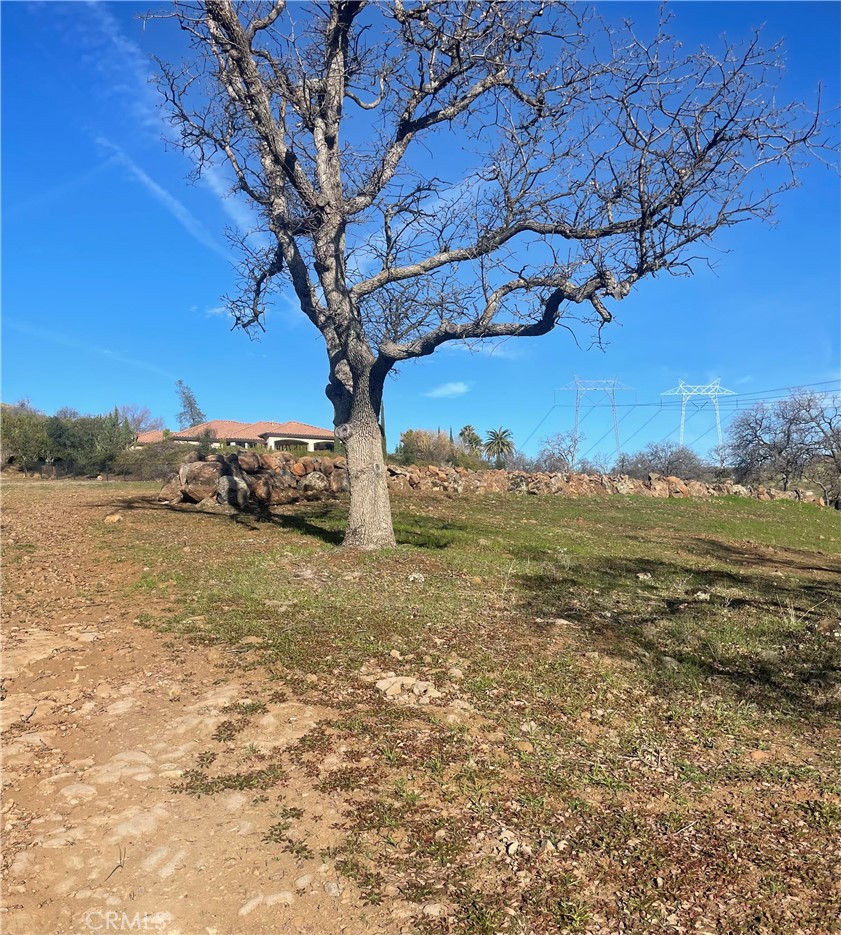 3460 Shadowtree Lane Chico, CA 95928 - Photo 8 of 11