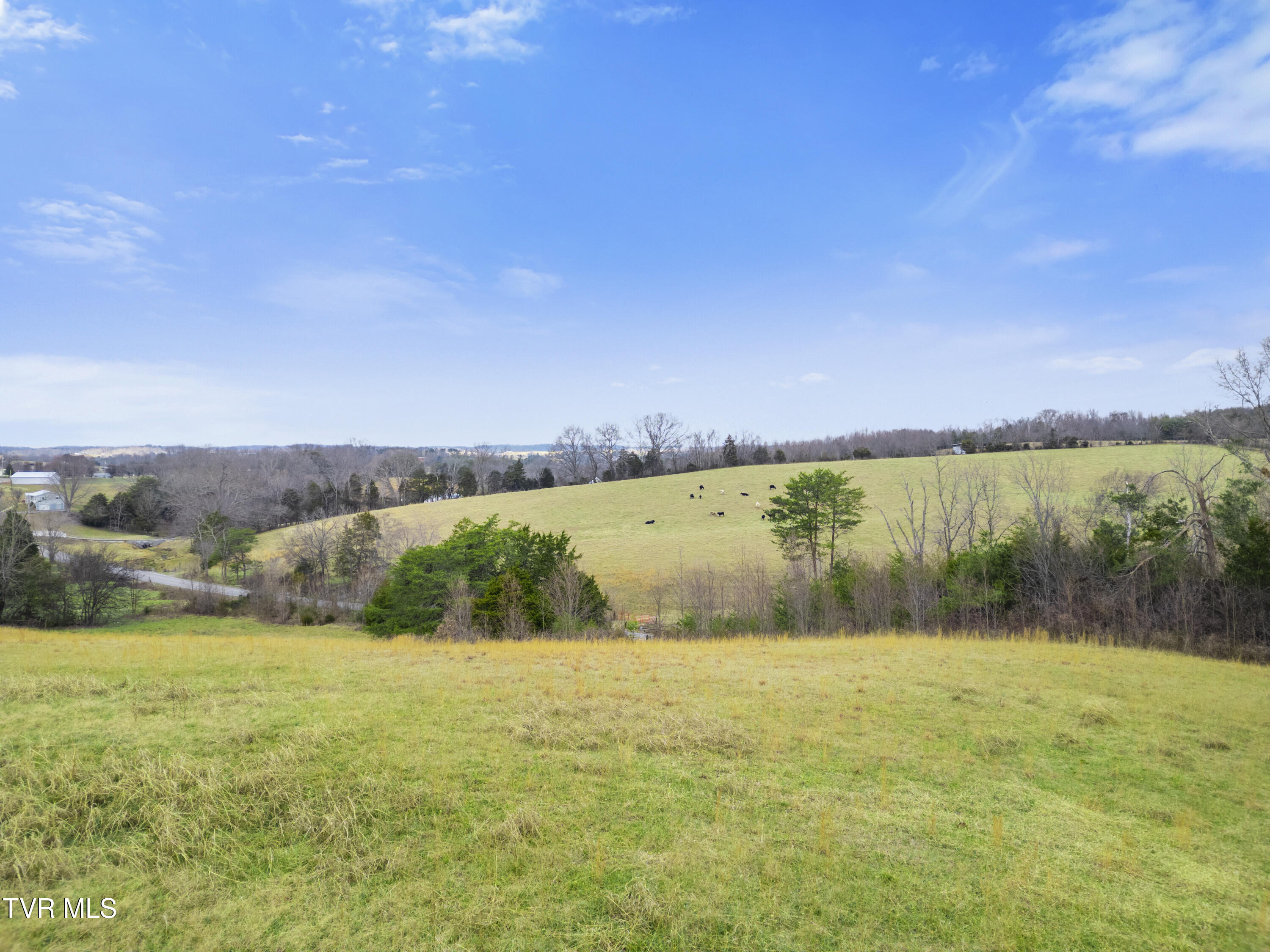 5-ac Parman Road, Unit 2 Greeneville, TN 37743 - Photo 14 of 20 DJI_0047
