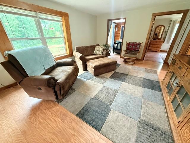 25729 Hay Creek Road Northeast Tenstrike, MN 56683 - Photo 21 of 35