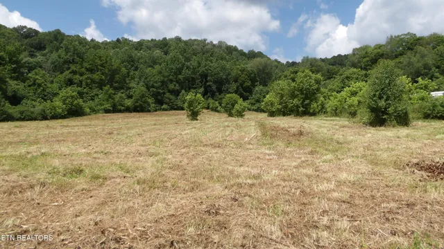 $159,900 | 5.6-ac Lonnie Reecer Road, Celina, TN 38551