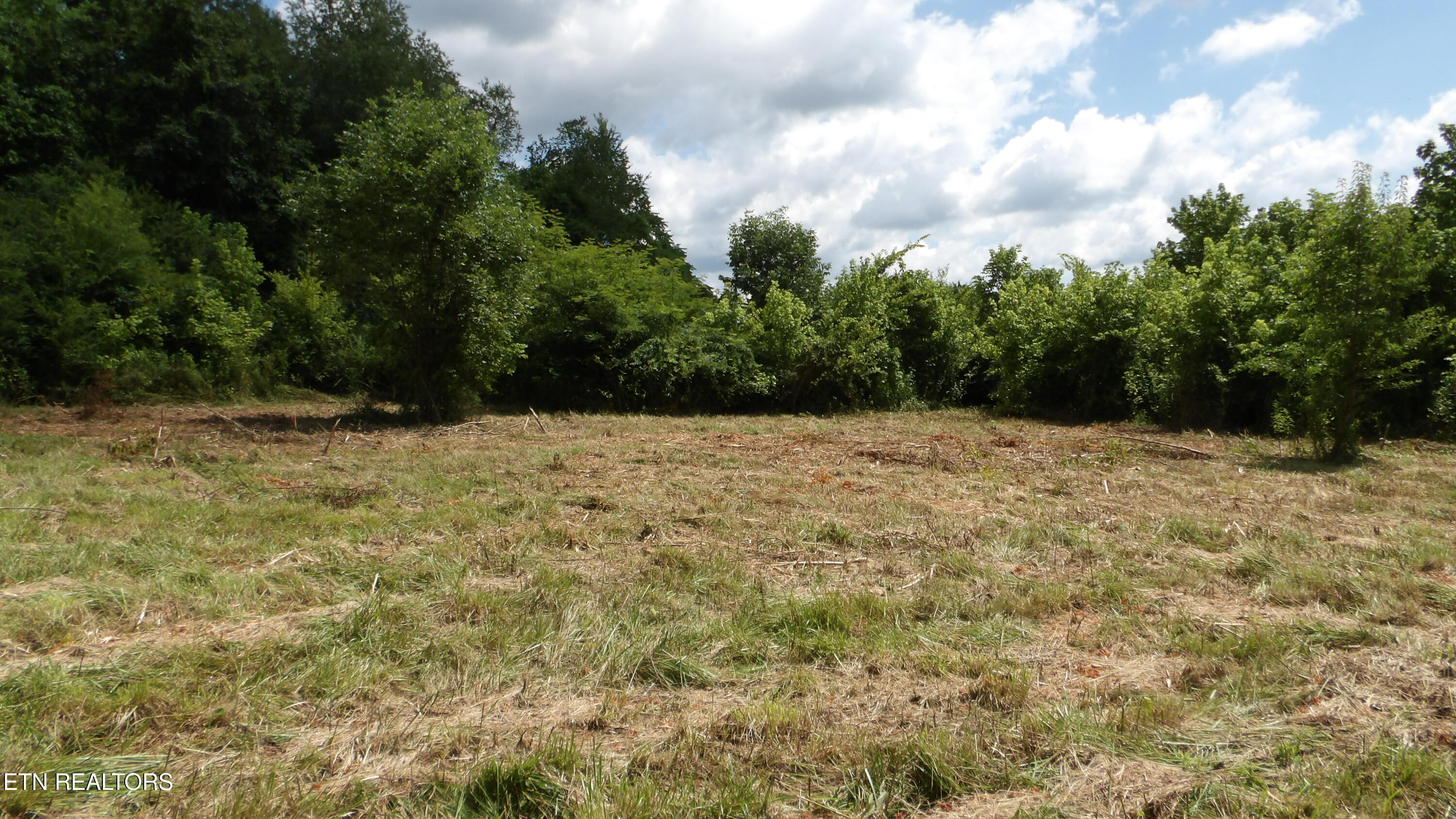5.6-ac Lonnie Reecer Road Celina, TN 38551 - Photo 14 of 46 100_0046