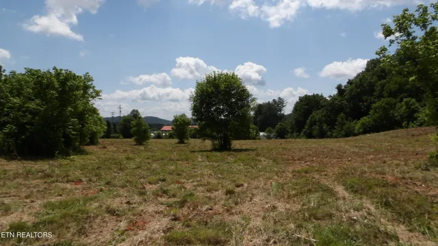 $159,900 | 5.6-ac Lonnie Reecer Road, Celina, TN 38551