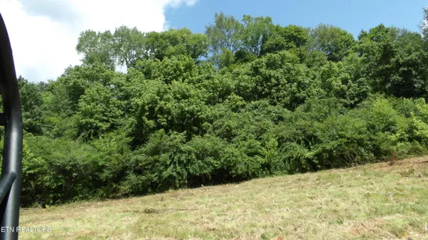 $159,900 | 5.6-ac Lonnie Reecer Road, Celina, TN 38551