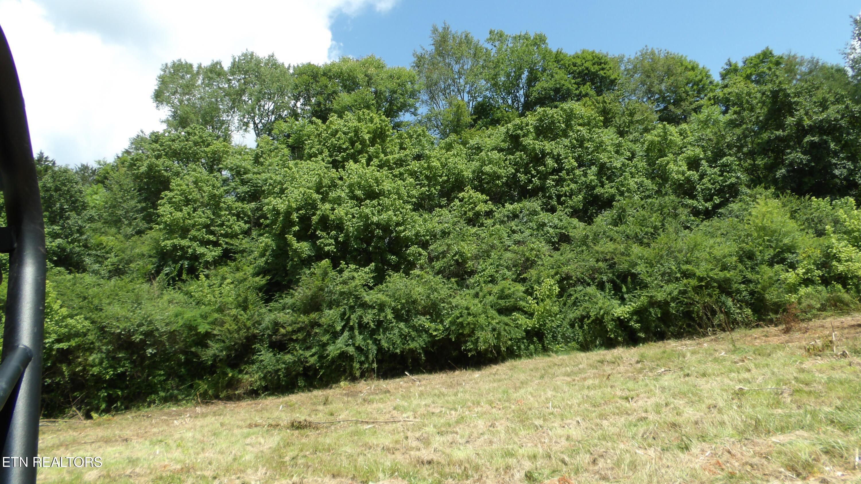 5.6-ac Lonnie Reecer Road Celina, TN 38551 - Photo 16 of 46 100_0048