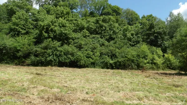 $159,900 | 5.6-ac Lonnie Reecer Road, Celina, TN 38551