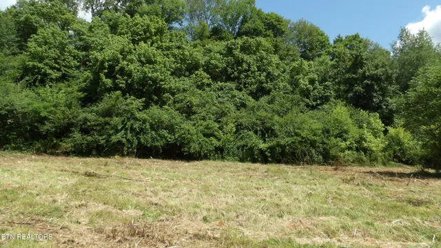 $159,900 | 5.6-ac Lonnie Reecer Road, Celina, TN 38551