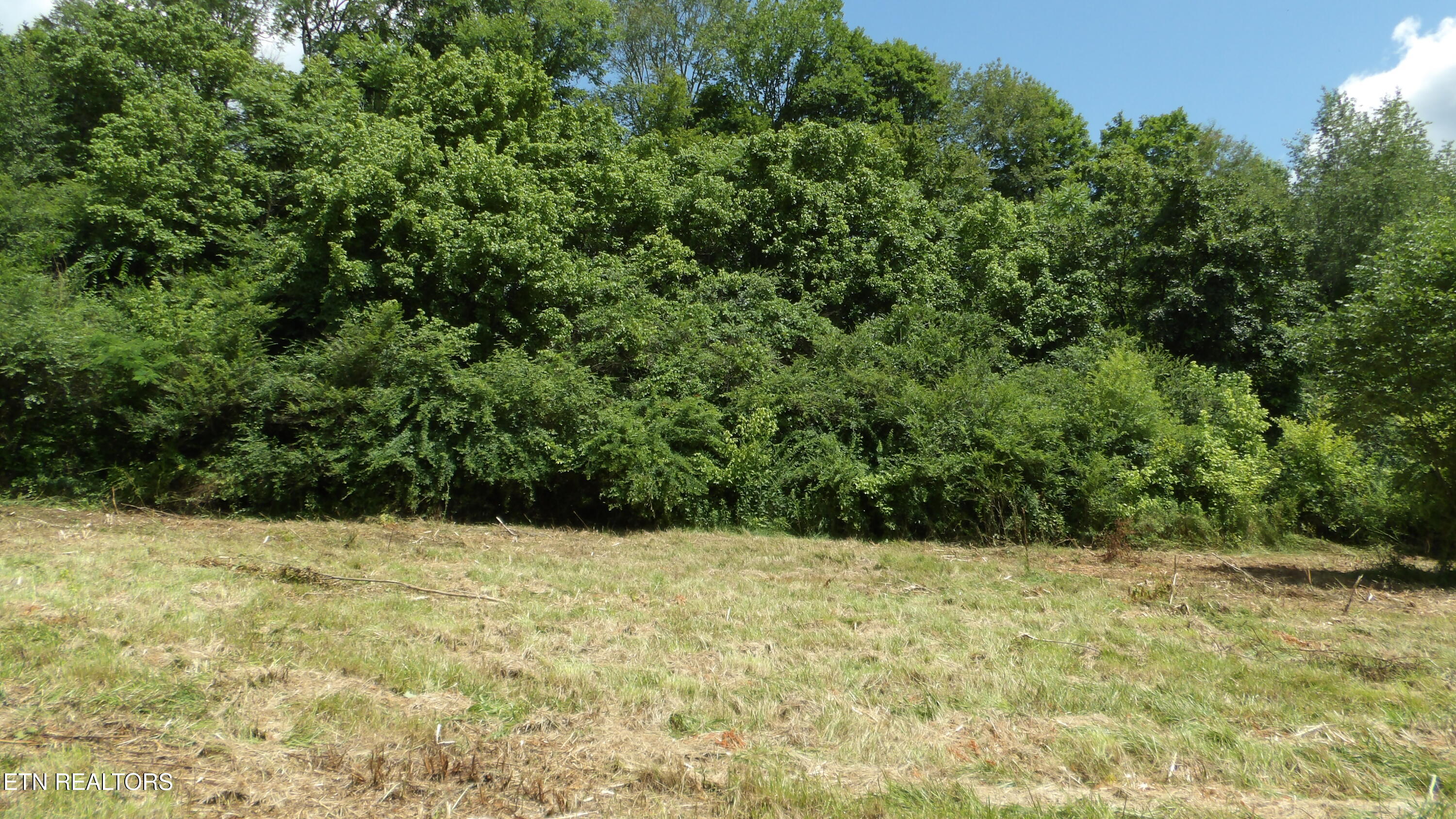 5.6-ac Lonnie Reecer Road Celina, TN 38551 - Photo 17 of 46 100_0049