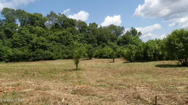 $159,900 | 5.6-ac Lonnie Reecer Road, Celina, TN 38551