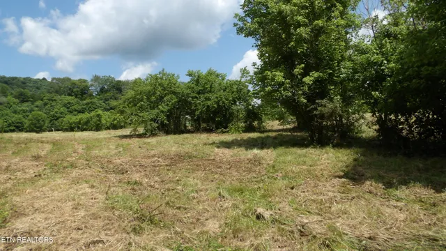 $159,900 | 5.6-ac Lonnie Reecer Road, Celina, TN 38551