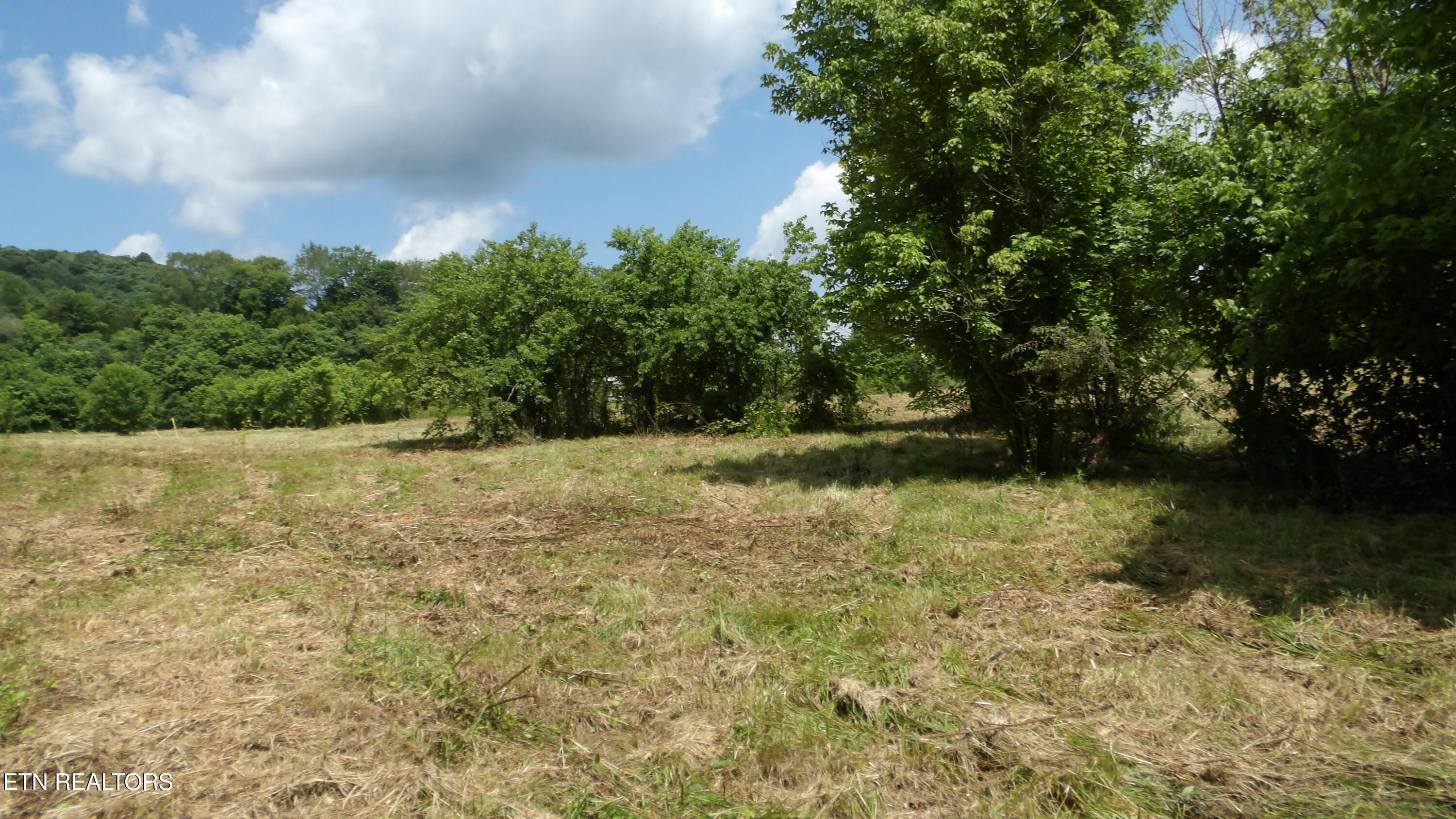5.6-ac Lonnie Reecer Road Celina, TN 38551 - Photo 24 of 46 100_0056
