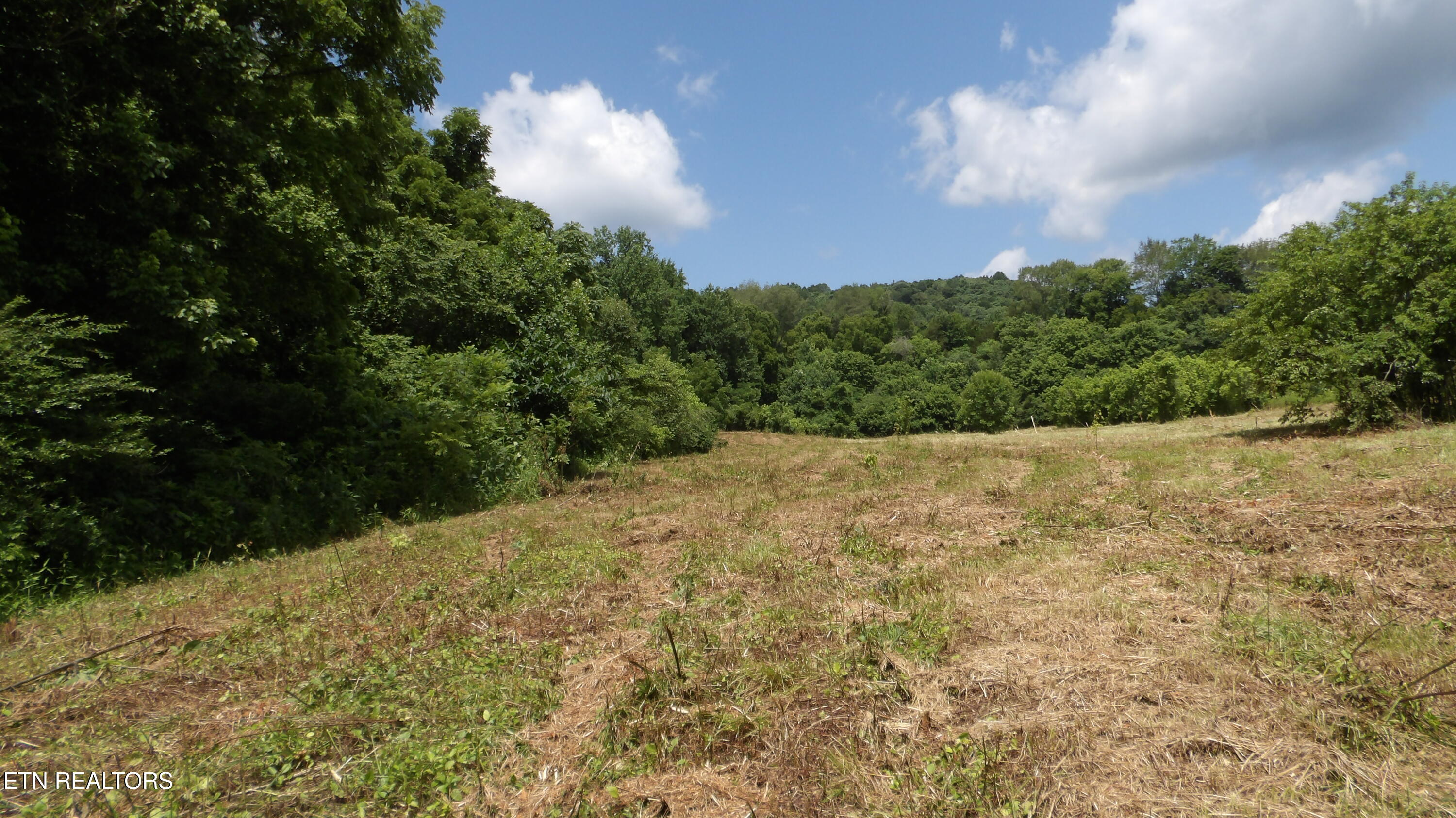 5.6-ac Lonnie Reecer Road Celina, TN 38551 - Photo 27 of 46 100_0059