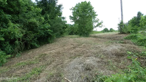 $159,900 | 5.6-ac Lonnie Reecer Road, Celina, TN 38551