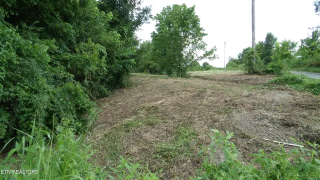 $159,900 | 5.6-ac Lonnie Reecer Road, Celina, TN 38551