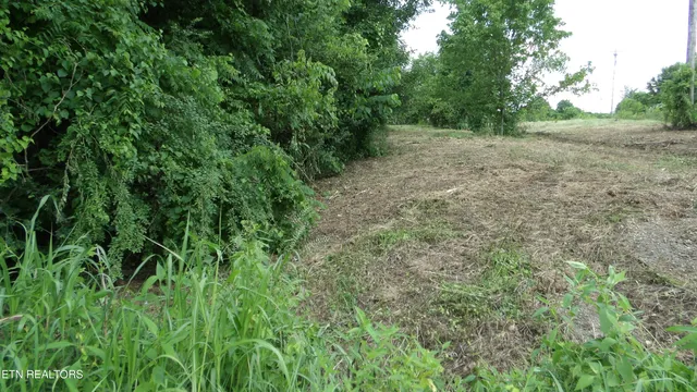 $159,900 | 5.6-ac Lonnie Reecer Road, Celina, TN 38551