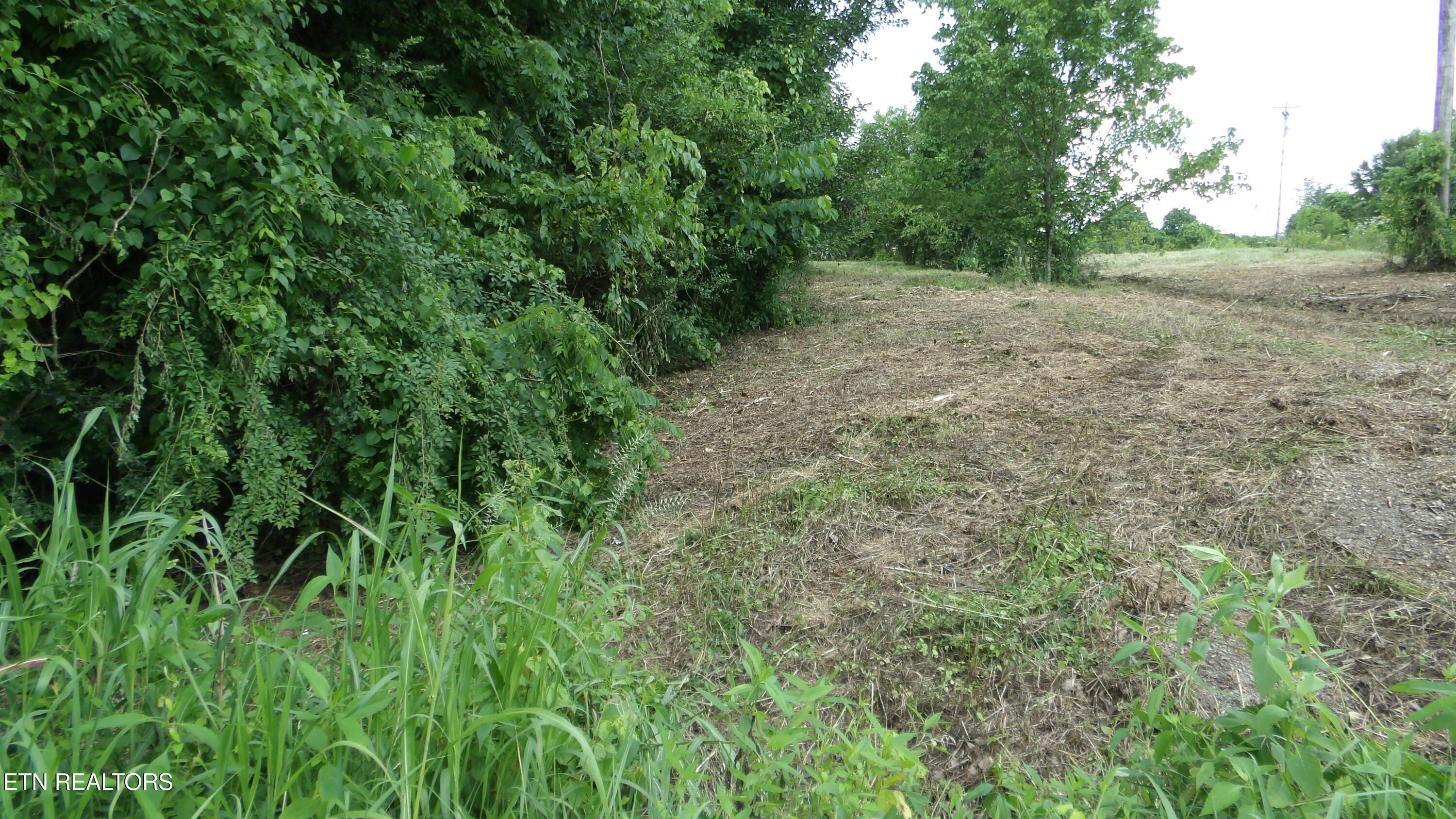 5.6-ac Lonnie Reecer Road Celina, TN 38551 - Photo 39 of 46 100_0076