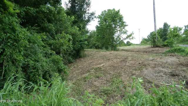 $159,900 | 5.6-ac Lonnie Reecer Road, Celina, TN 38551