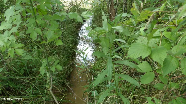 $159,900 | 5.6-ac Lonnie Reecer Road, Celina, TN 38551