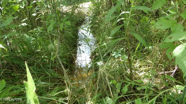 $159,900 | 5.6-ac Lonnie Reecer Road, Celina, TN 38551