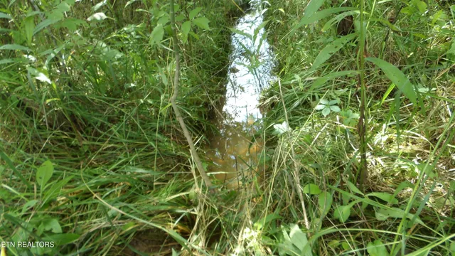 $159,900 | 5.6-ac Lonnie Reecer Road, Celina, TN 38551