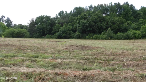 $159,900 | 5.6-ac Lonnie Reecer Road, Celina, TN 38551